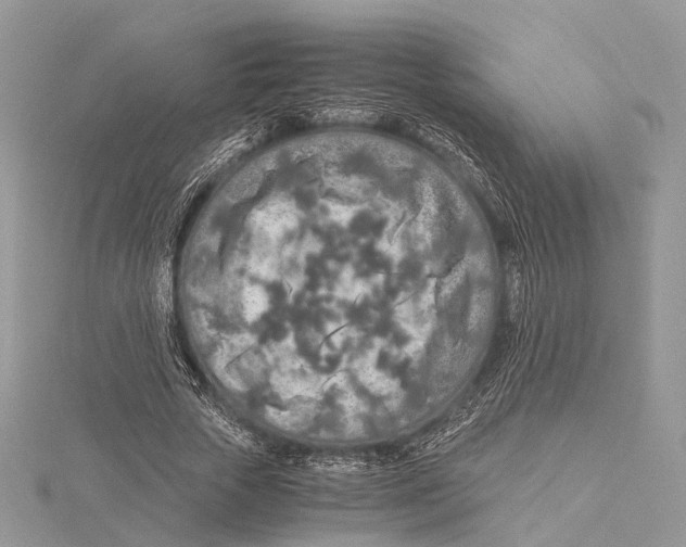 X0000115440729200912020944