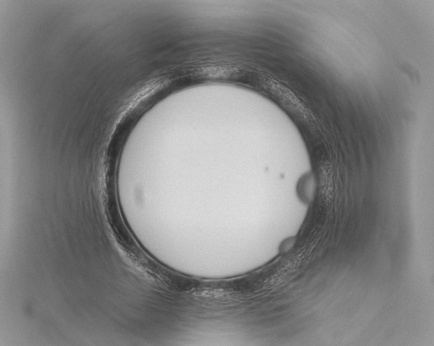 X0000115440730200912020944