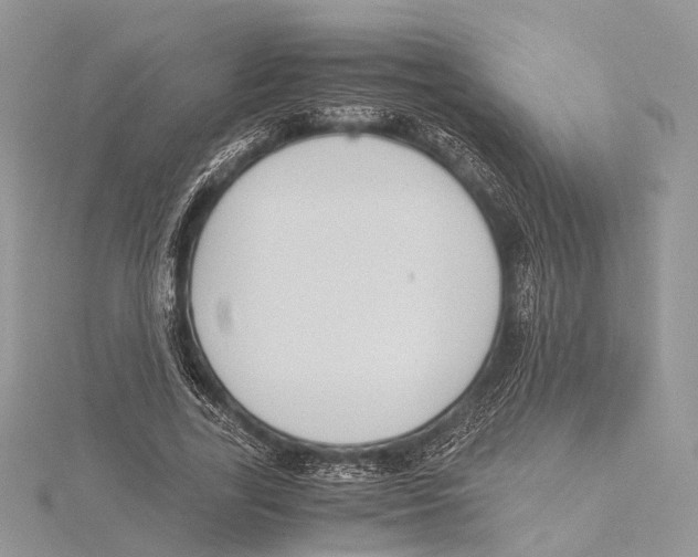 X0000115440731200912020944