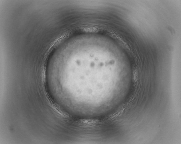 X0000115440733200912020944