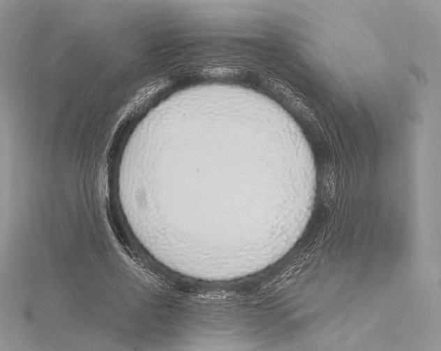 X0000115440734200912020944