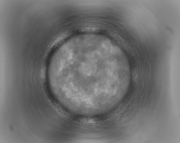 X0000115440735200912020944