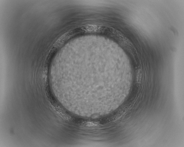 X0000115440737200912020944