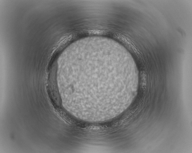 X0000115440738200912020944