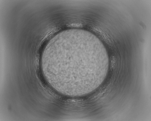 X0000115440739200912020944