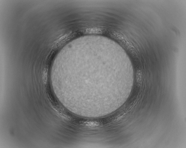 X0000115440741200912020944