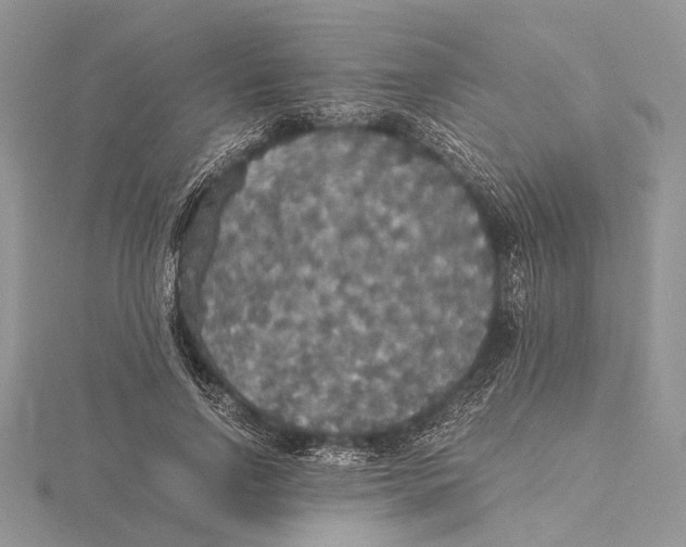 X0000115440742200912020944