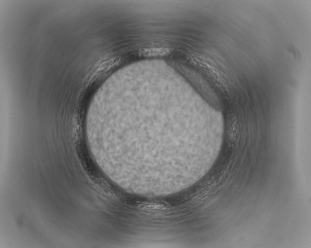 X0000115440743200912020944