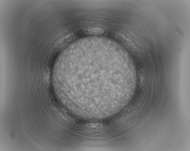 X0000115440745200912020944