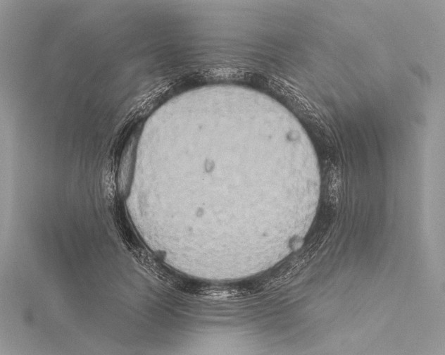 X0000115440746200912020944