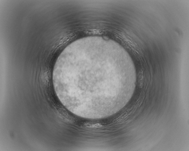 X0000115440747200912020944