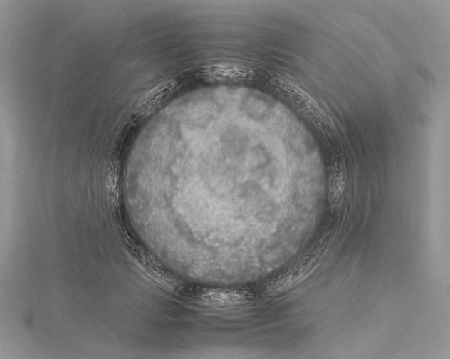 X0000115440749200912020944