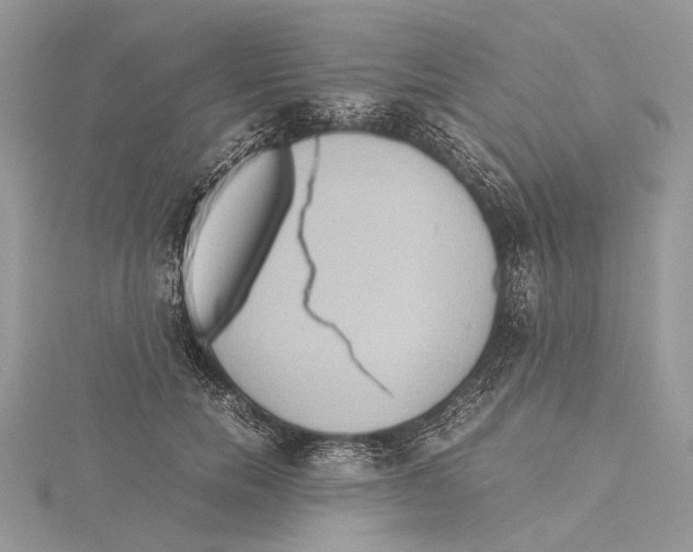 X0000115440750200912020944