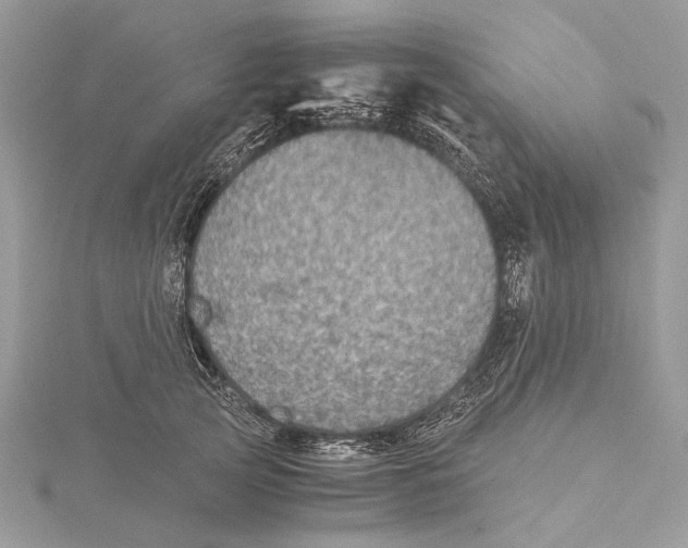 X0000115440753200912020945