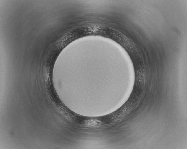 X0000115440754200912020945