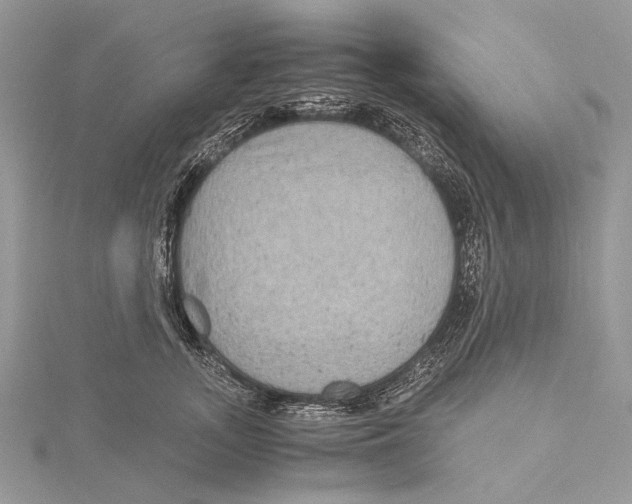 X0000115440755200912020945