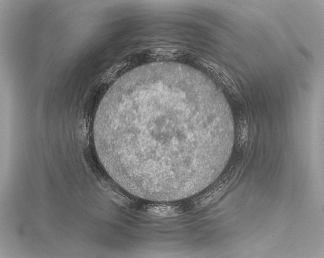 X0000115440759200912020945