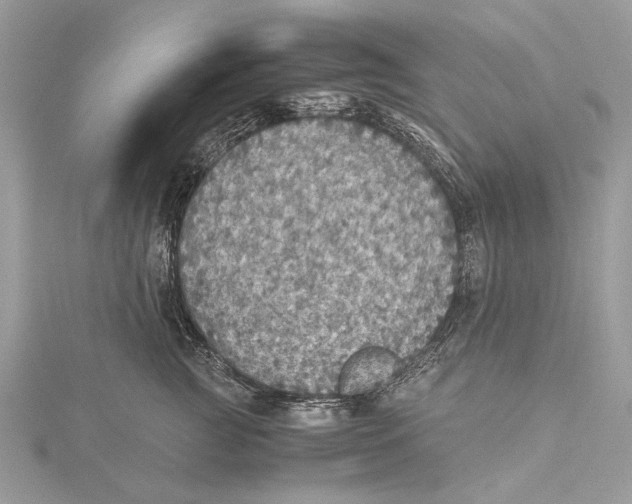 X0000115440761200912020945