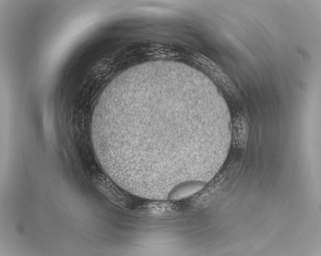 X0000115440762200912020945