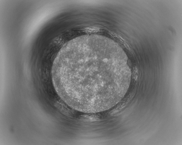 X0000115440763200912020945