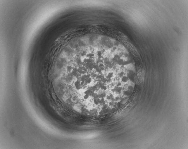 X0000115440765200912020945