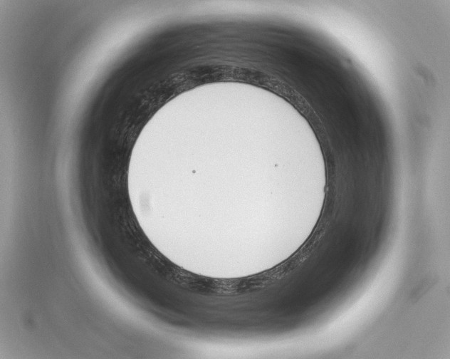 X0000115440766200912020945