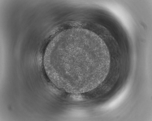 X0000115440767200912020945