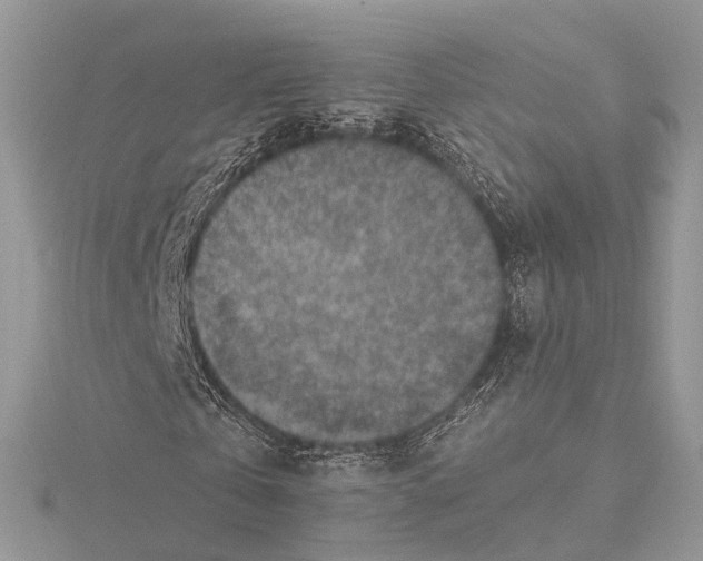 X0000115440769200912020944