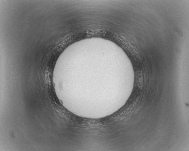 X0000115440770200912020944