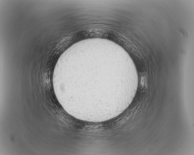 X0000115440771200912020944