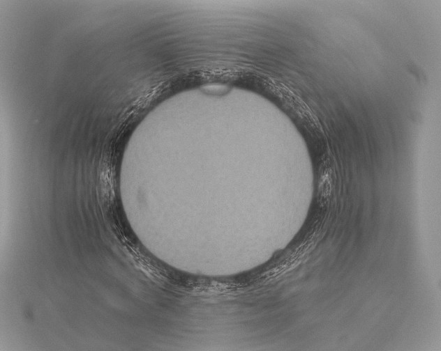 X0000115440772200912020944