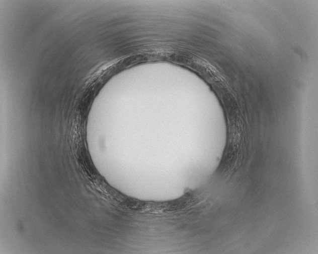 X0000115440773200912020944