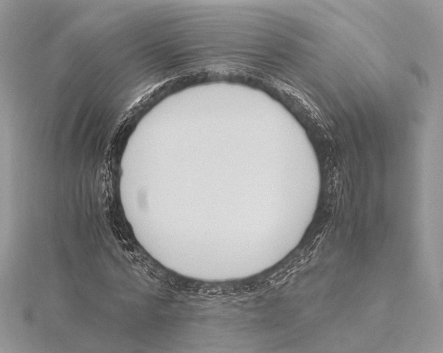 X0000115440776200912020944