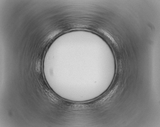 X0000115440777200912020944