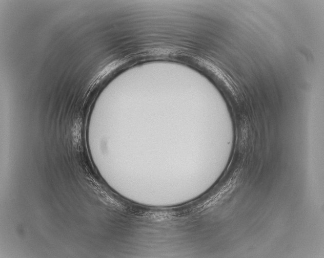 X0000115440778200912020944