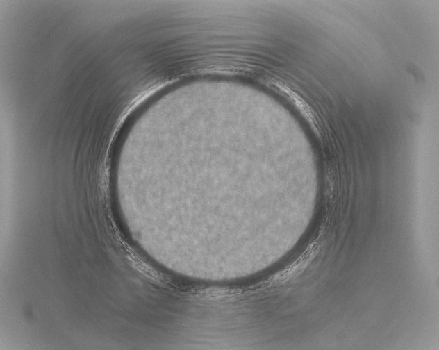 X0000115440779200912020944