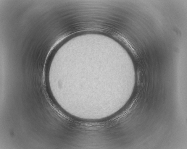 X0000115440780200912020944