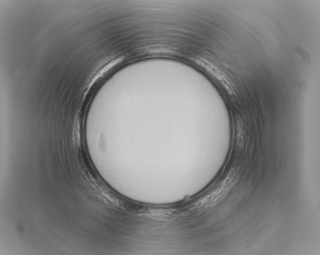 X0000115440782200912020944