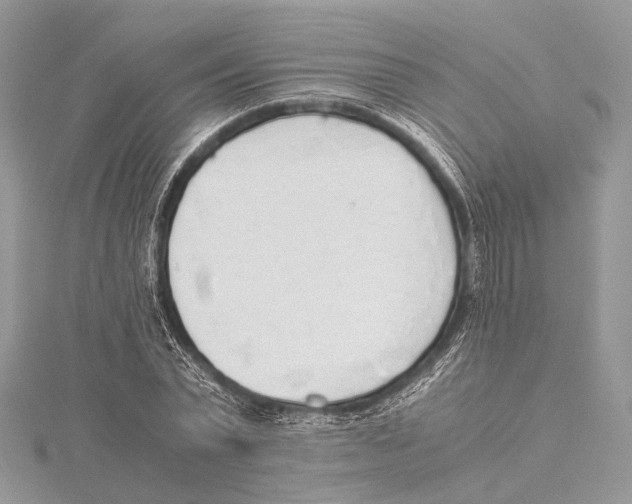 X0000115440783200912020944