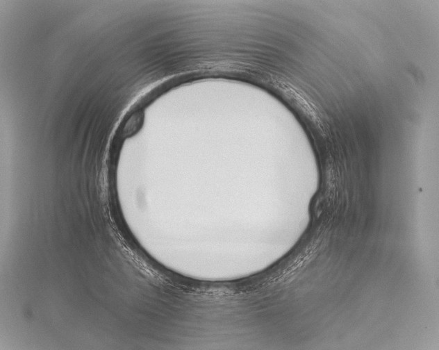 X0000115440784200912020944