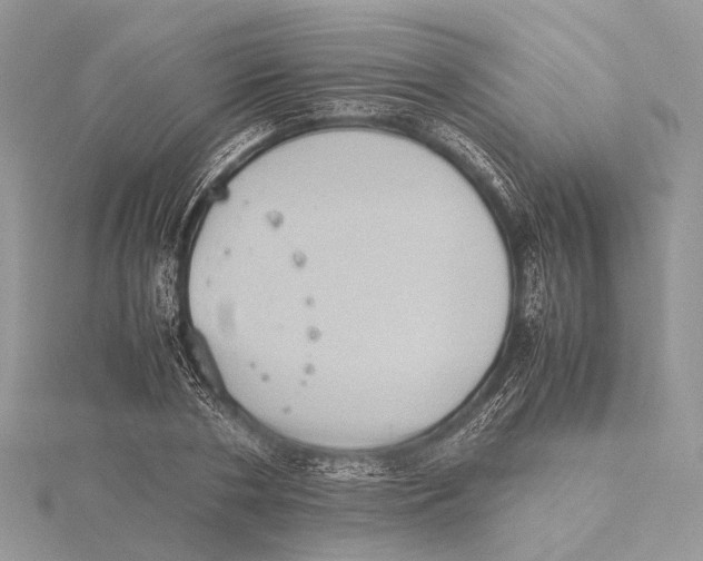 X0000115440786200912020944