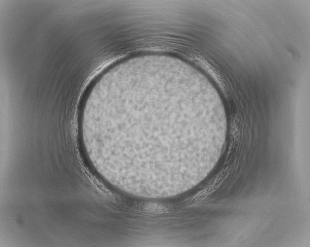 X0000115440787200912020944