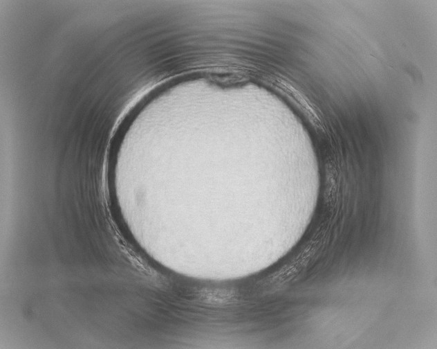 X0000115440788200912020944