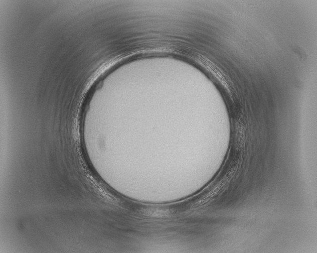 X0000115440789200912020944