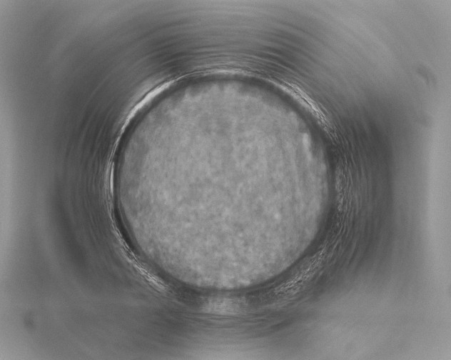 X0000115440790200912020944