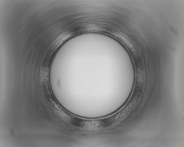 X0000115440793200912020944