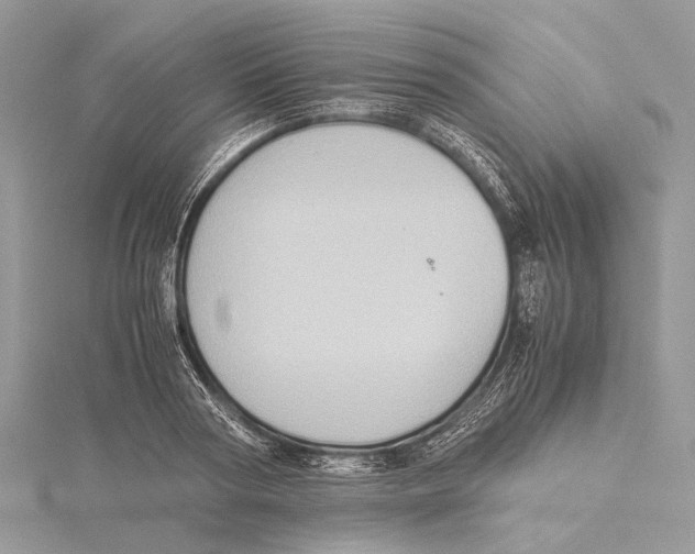 X0000115440794200912020944