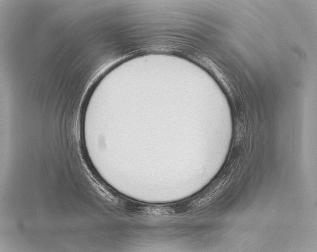 X0000115440795200912020944