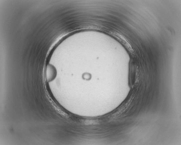 X0000115440796200912020944