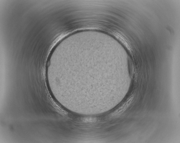 X0000115440797200912020944